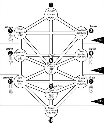 Árbol de la vida Árbol de la vida