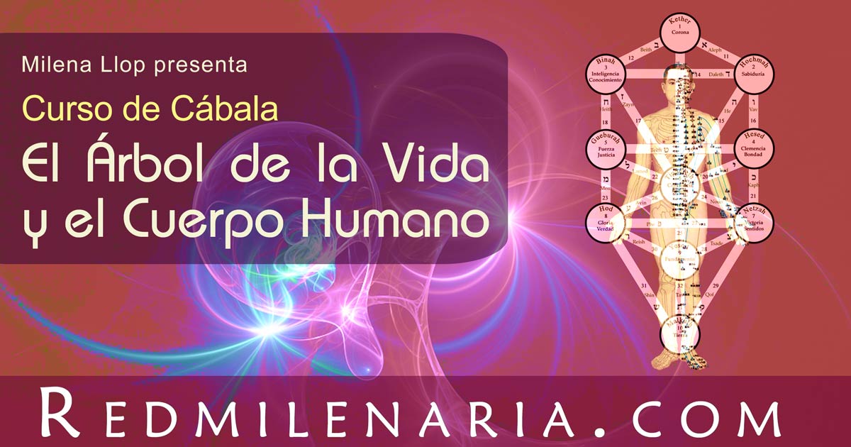 Ilustración del Curso El Árbol de la Vida y el cuerpo humano