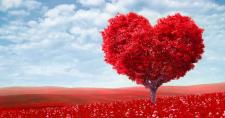 Del temor al amor, tan solo es cuestión de cambiar las letras Campo rojo con árbol rojo en forma de corazón